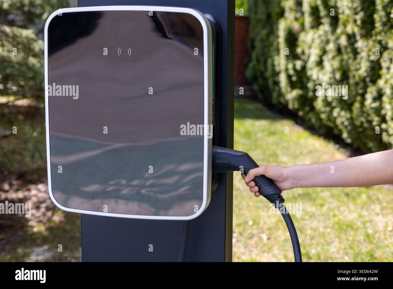Das Ladegerät Für Elektrofahrzeuge Mit Der Hand Anschließen. Nahaufnahme einer Hand, die ein Elektrofahrzeug-Ladekabel an einer Außenstation verbindet, zeigt sauber Stockfoto