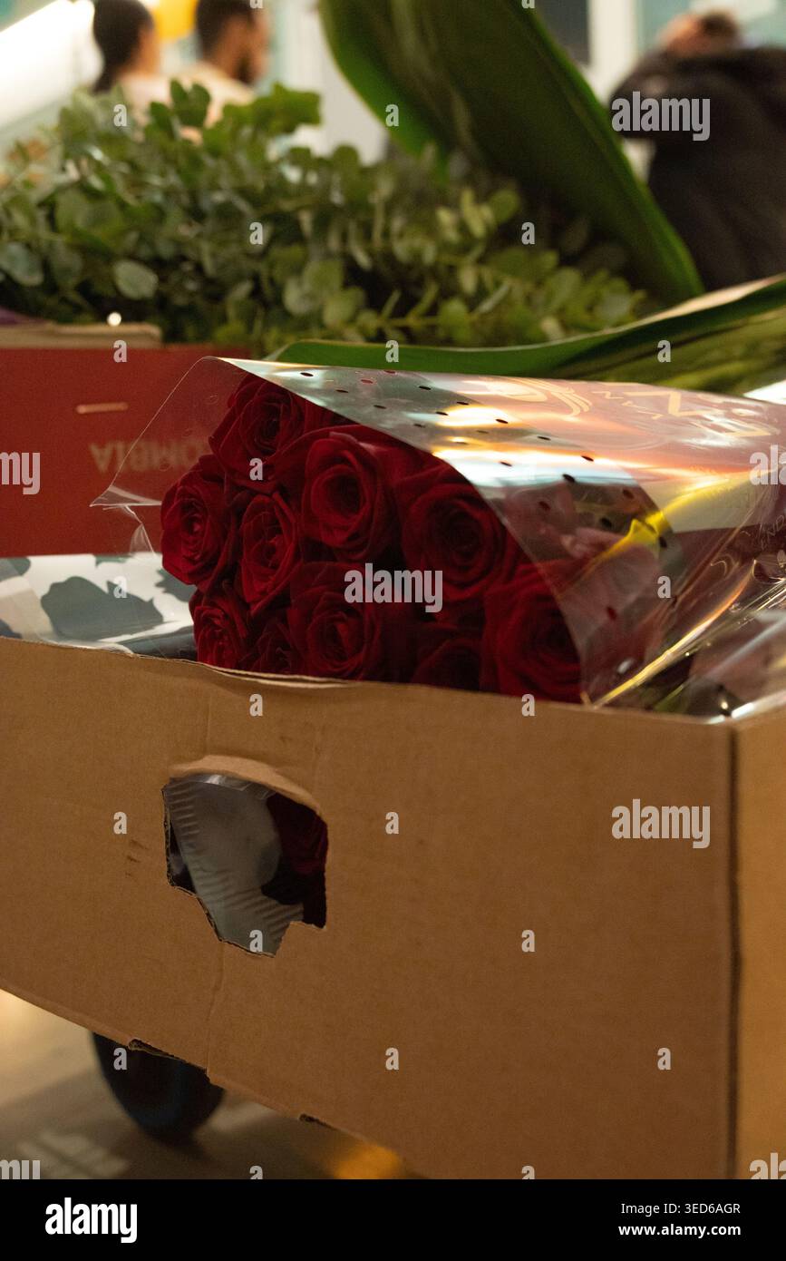 San Jordi und die Rosen Stockfoto