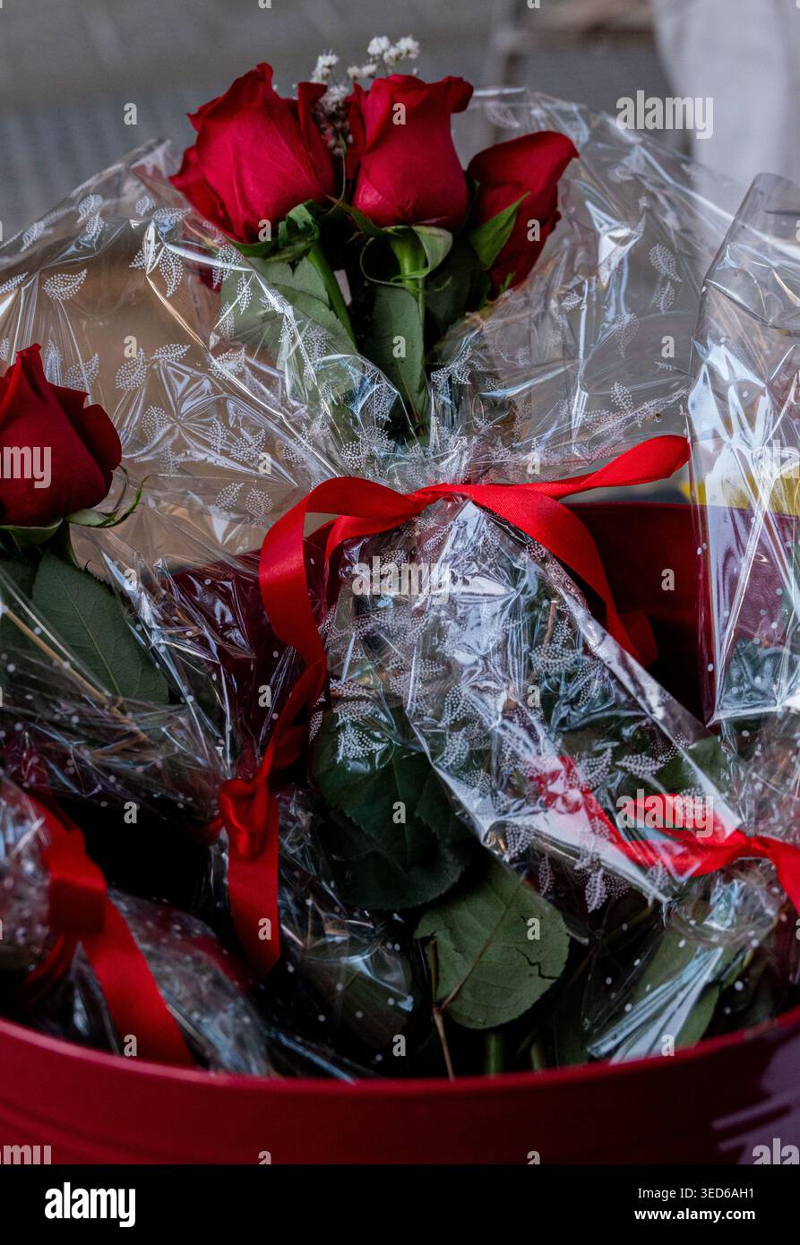 San Jordi und die Rosen Stockfoto