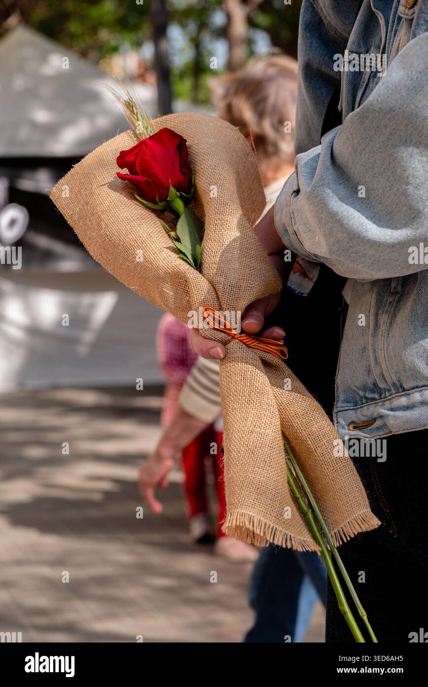 San Jordi und die Rosen Stockfoto