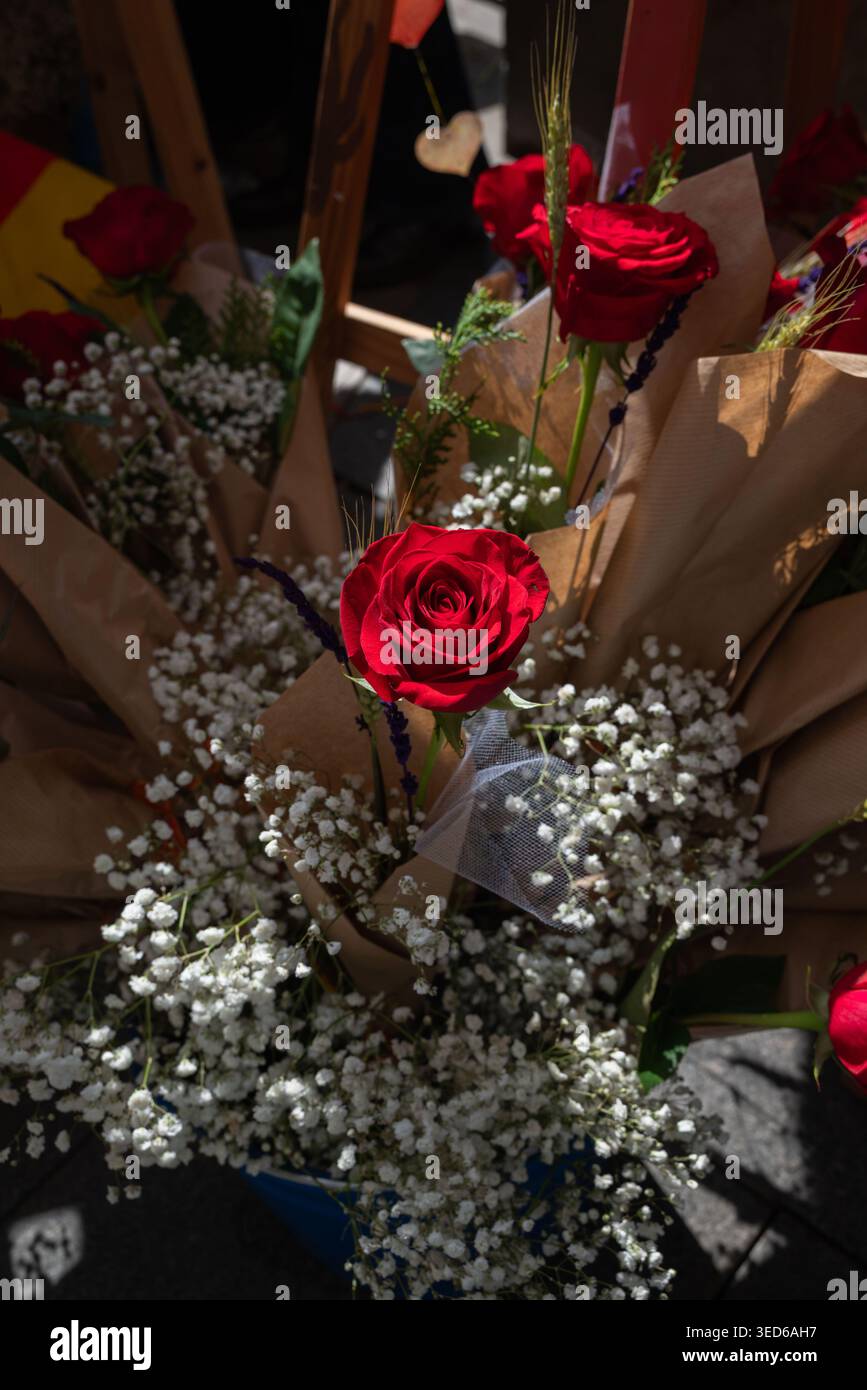 San Jordi und die Rosen Stockfoto