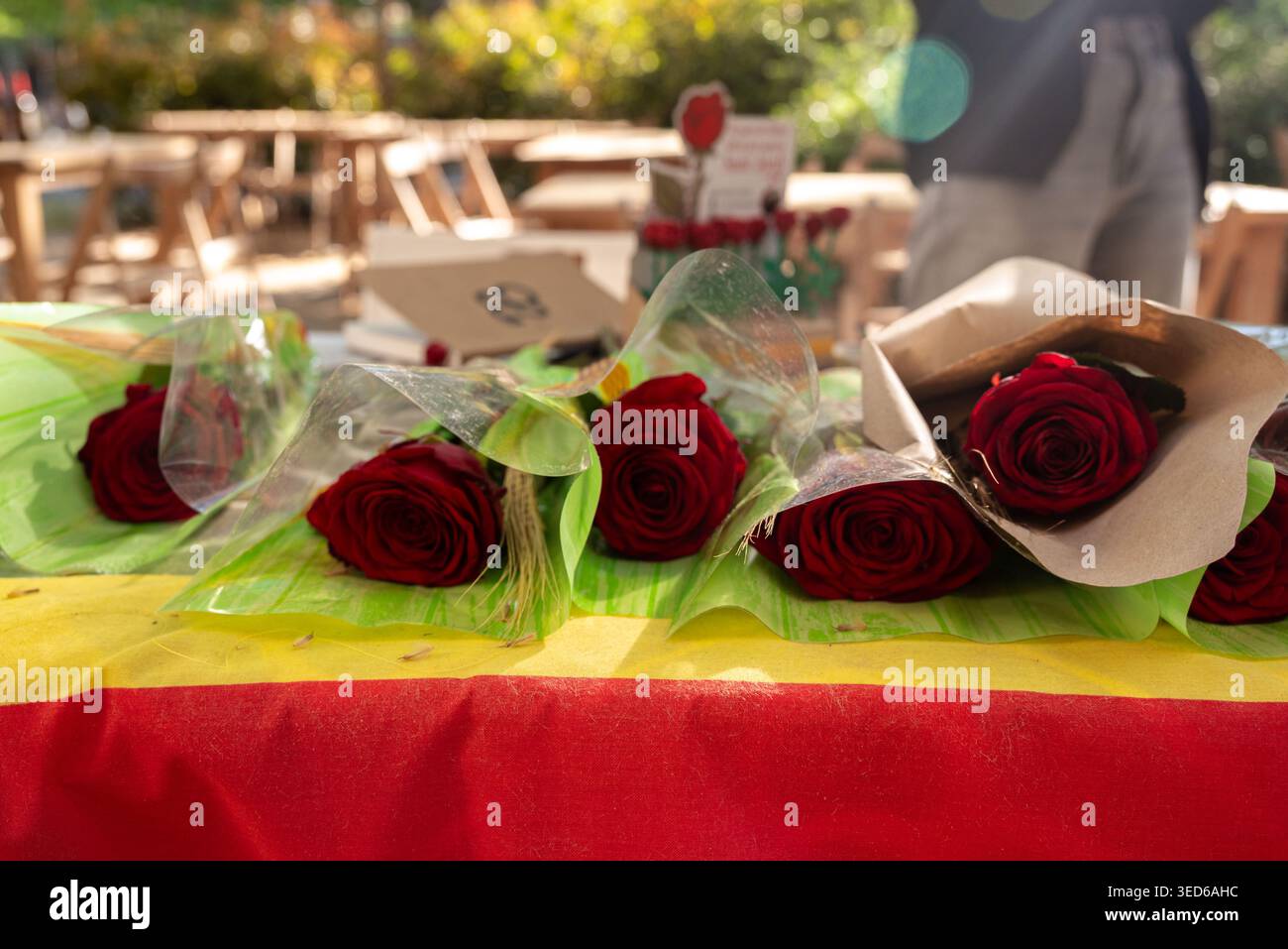 San Jordi und die Rosen Stockfoto