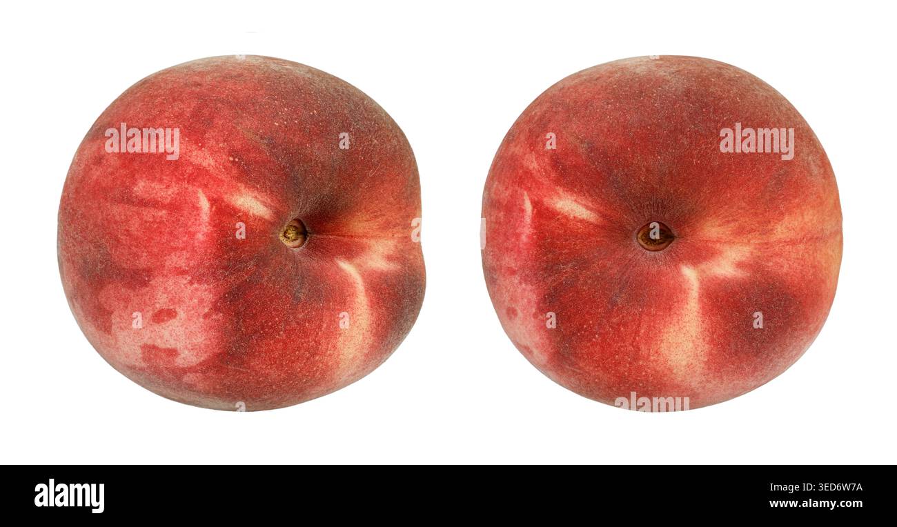 Zwei reife flache Pfirsiche isoliert auf weißem Hintergrund. Auch bekannt als Donut-Pfirsich oder Saturn-Pfirsich. Frische saftige Sommersteinfrucht mit roter und gelber Haut Stockfoto