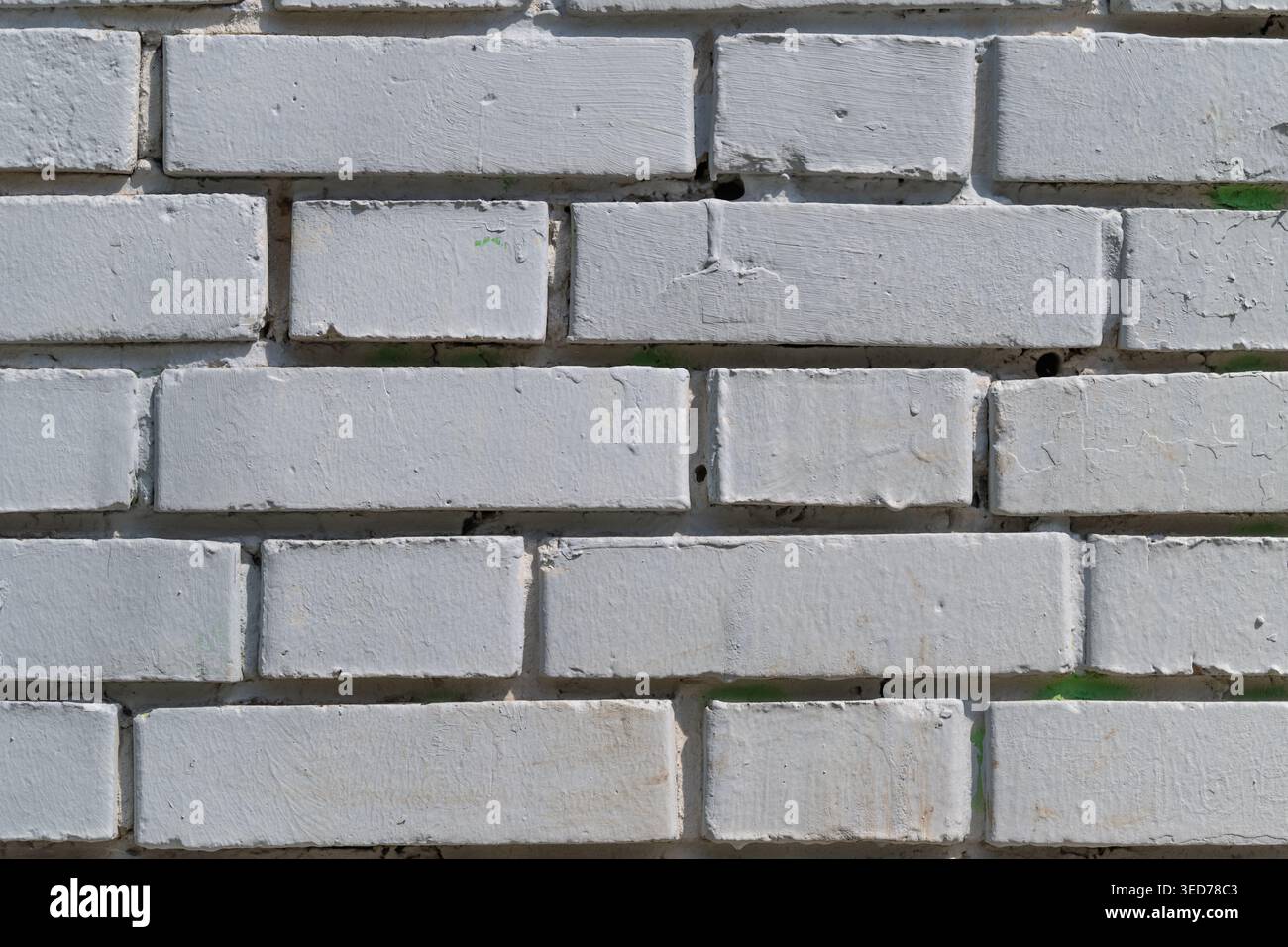 Saubere weiße Ziegelfassade mit Fugen, schmale horizontale Fugen, hellgrünes Moos in den Nähten, minimales sich wiederholendes Muster für architektonische Texturen Stockfoto