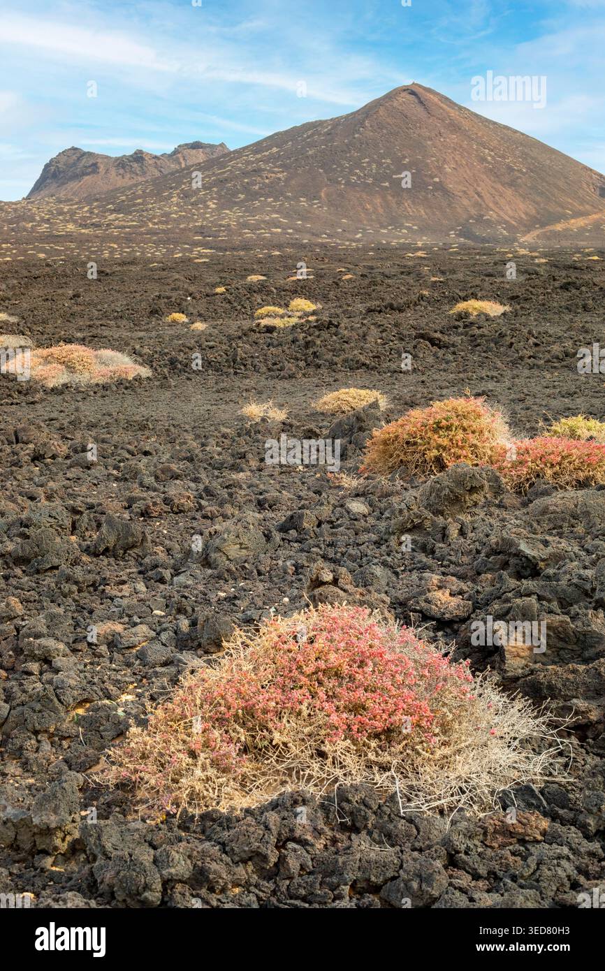 Kap Verde, São Vicente, Calhau, Basaltlandschaft mit dem Vulkan Viana im Hintergrund Stockfoto