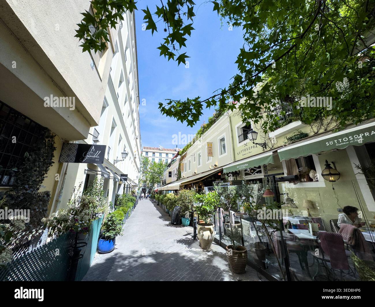 Das Restaurante SottoSopra , Calle de Puigcerdá ist eine enge Fußgängerzone im Barrio de Salamanca, Madrid, Spanien Stockfoto