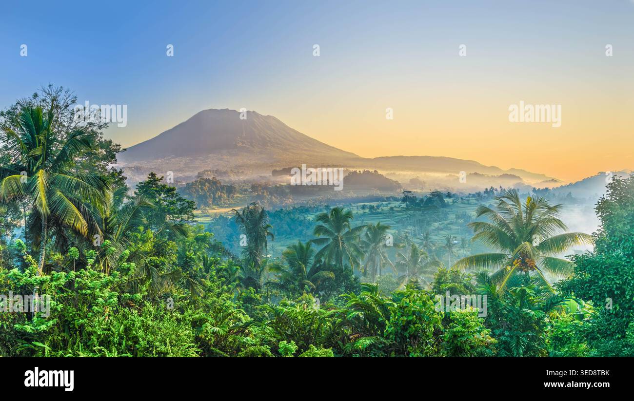 Nebliger tropischer Sonnenaufgang über üppigem Regenwald und Mount Agung Vulkan mit Palmen in Sideman, Bali Stockfoto