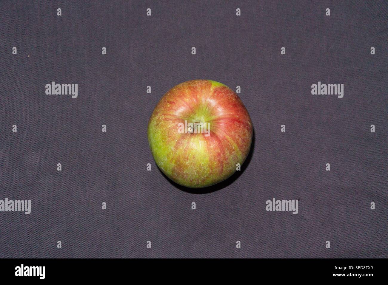 Bunter Apfel auf grauem Hintergrund Stockfoto