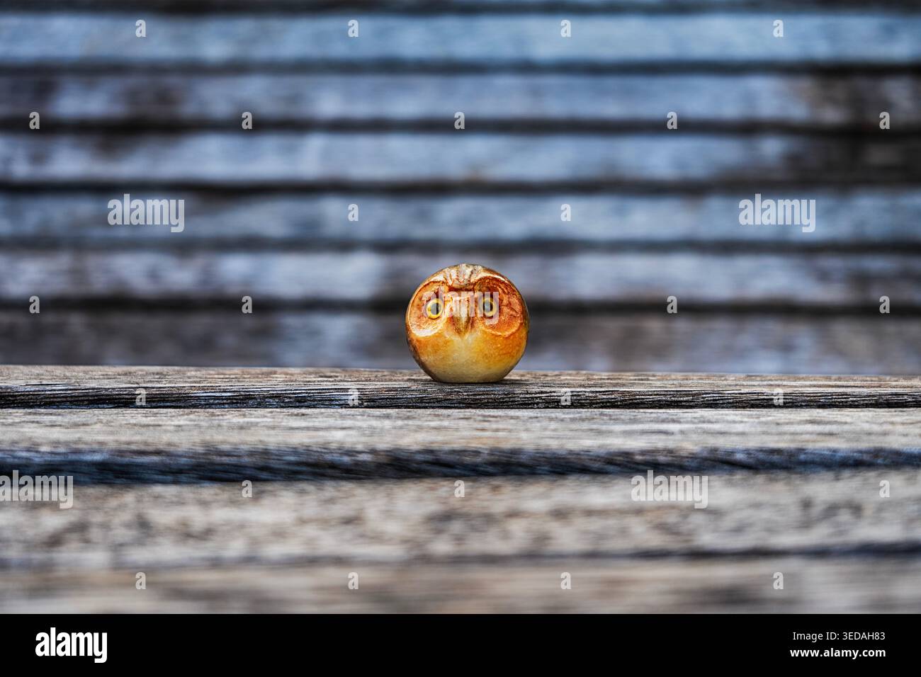 Eulenfigur auf einem Baum Feng Shui Symbol Dekor Stockfoto