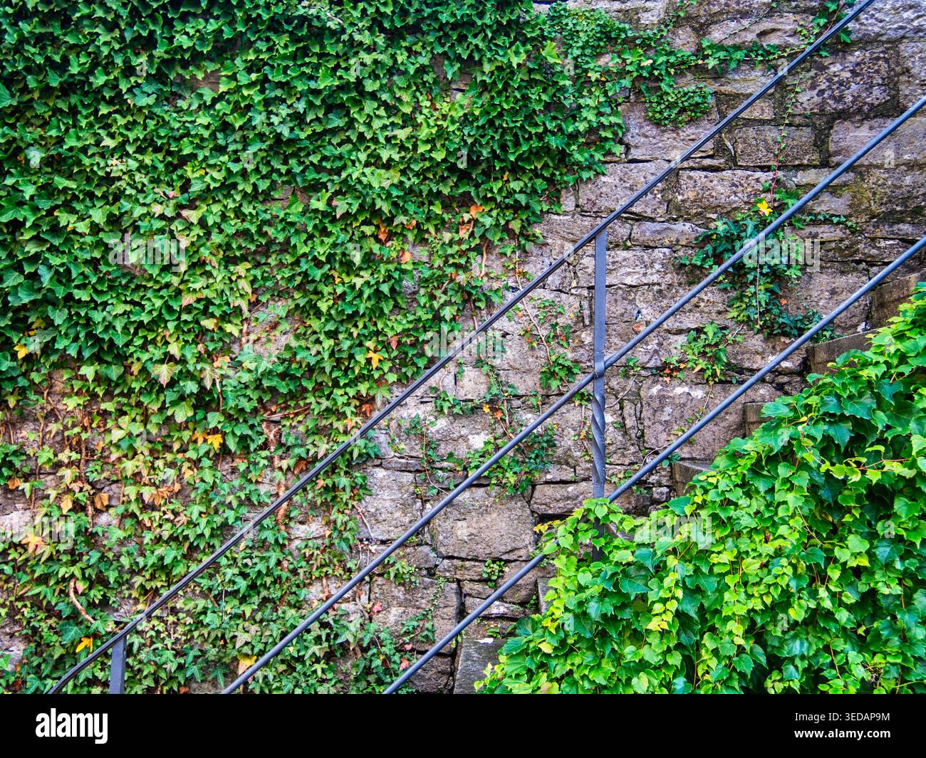 Mauer in Grün, Geländer und Stufen Stein und Metall Stockfoto