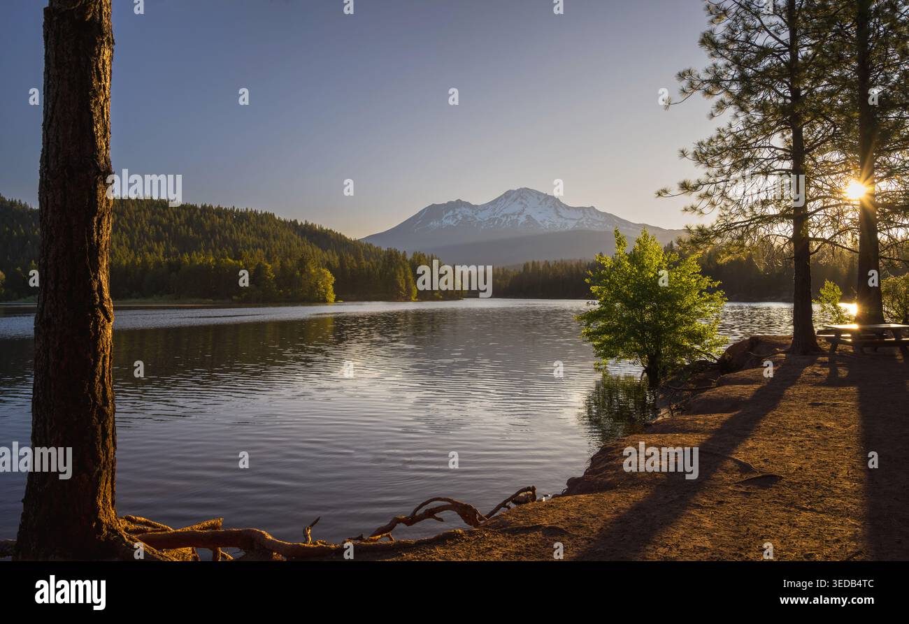 Das frühe Morgenlicht erhellt den Mount Shasta und das Ufer des Lake Siskiyou im Norden Kaliforniens, USA. Stockfoto
