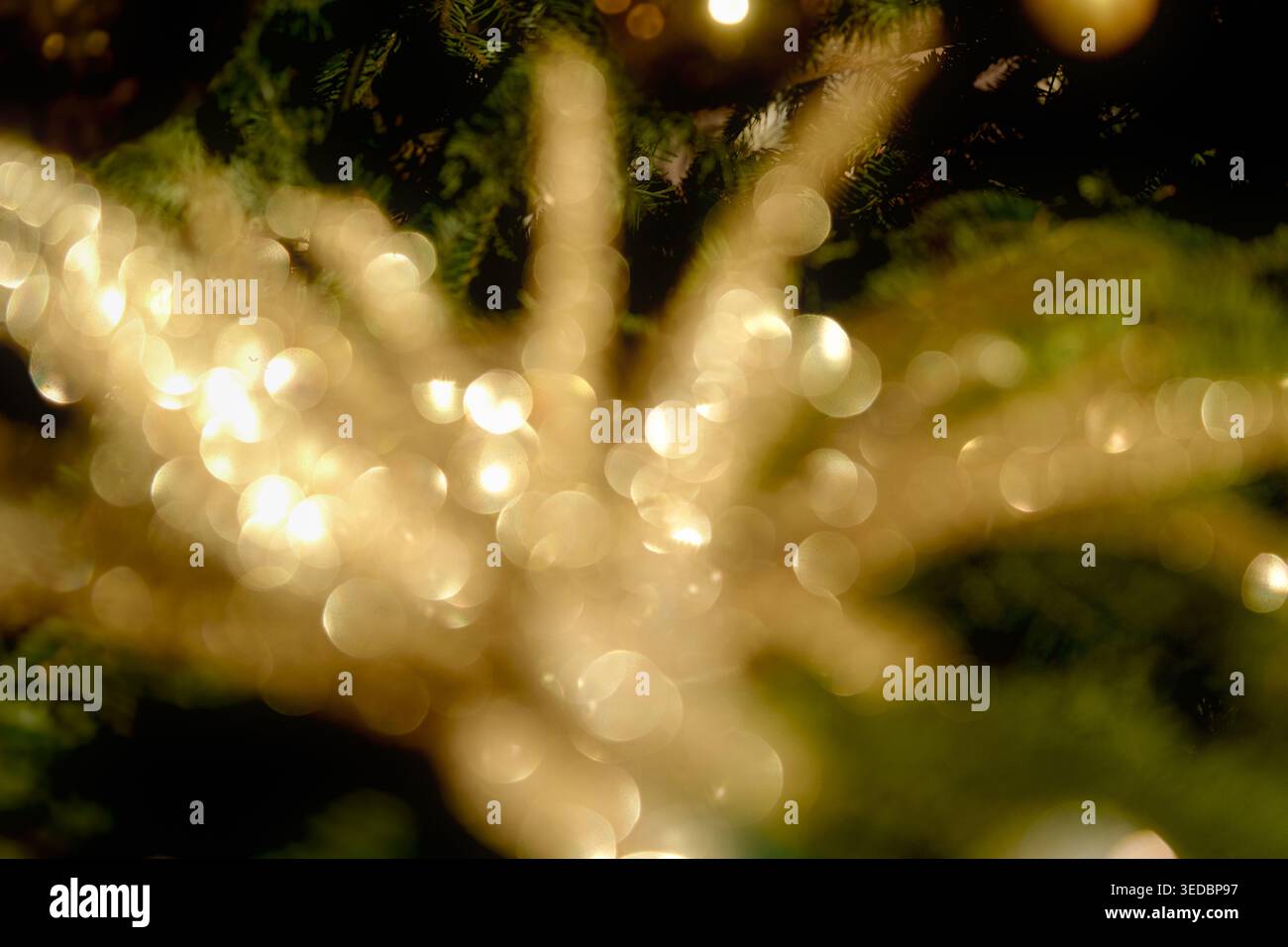 Goldene Bokeh-Lichter schaffen eine magische Atmosphäre, die auf festliche Feste in der dunklen, natürlichen Umgebung der Stadt hinweist. Stockfoto
