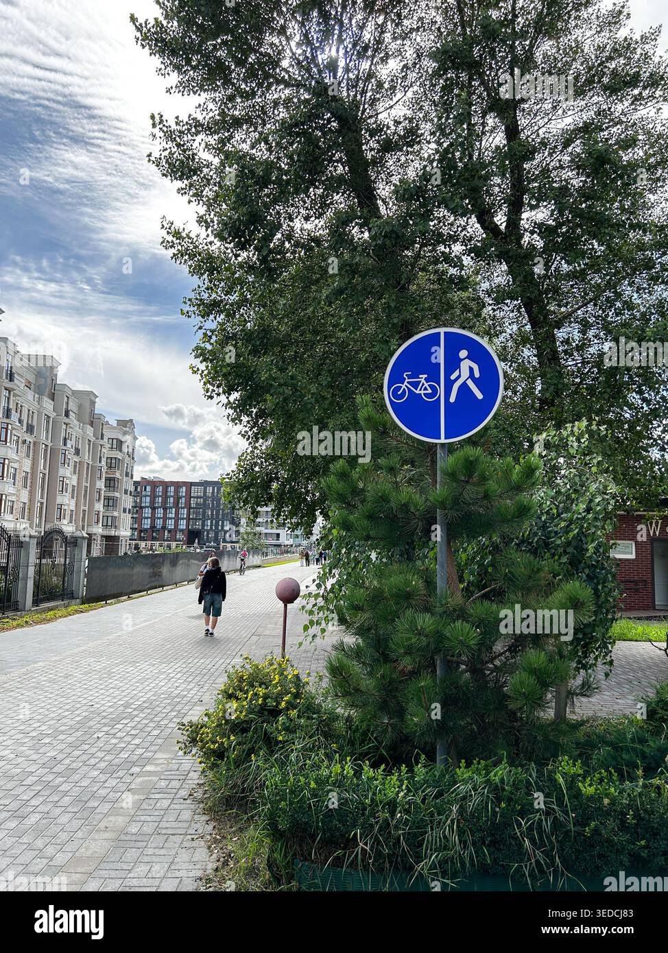 Rundes blaues Straßenschild für Fußgänger- und Radwege, gemeinsamer Gehweg. Vertikales Foto Stockfoto