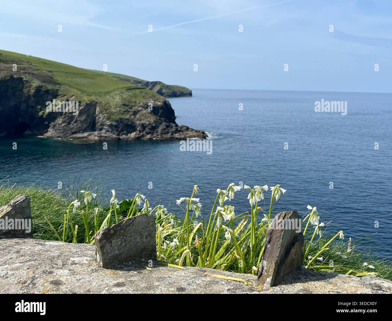 Port Isaac, Cornwal, England, Vereinigtes Königreich. - Smartphone-aufgenommenes Stockfoto