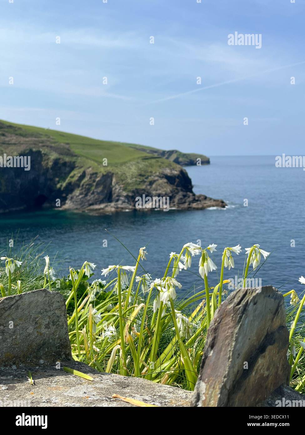 Port Isaac, Cornwal, England, Vereinigtes Königreich. - Smartphone-aufgenommenes Stockfoto