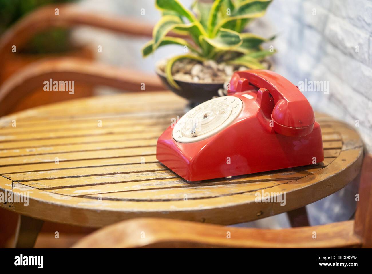 Ein rotes Vintage-Telefon sitzt elegant auf einem Holztisch, begleitet von einer kleinen Zimmerpflanze, die eine Mischung aus klassischen und modernen Dekorationselementen einfängt. Stockfoto