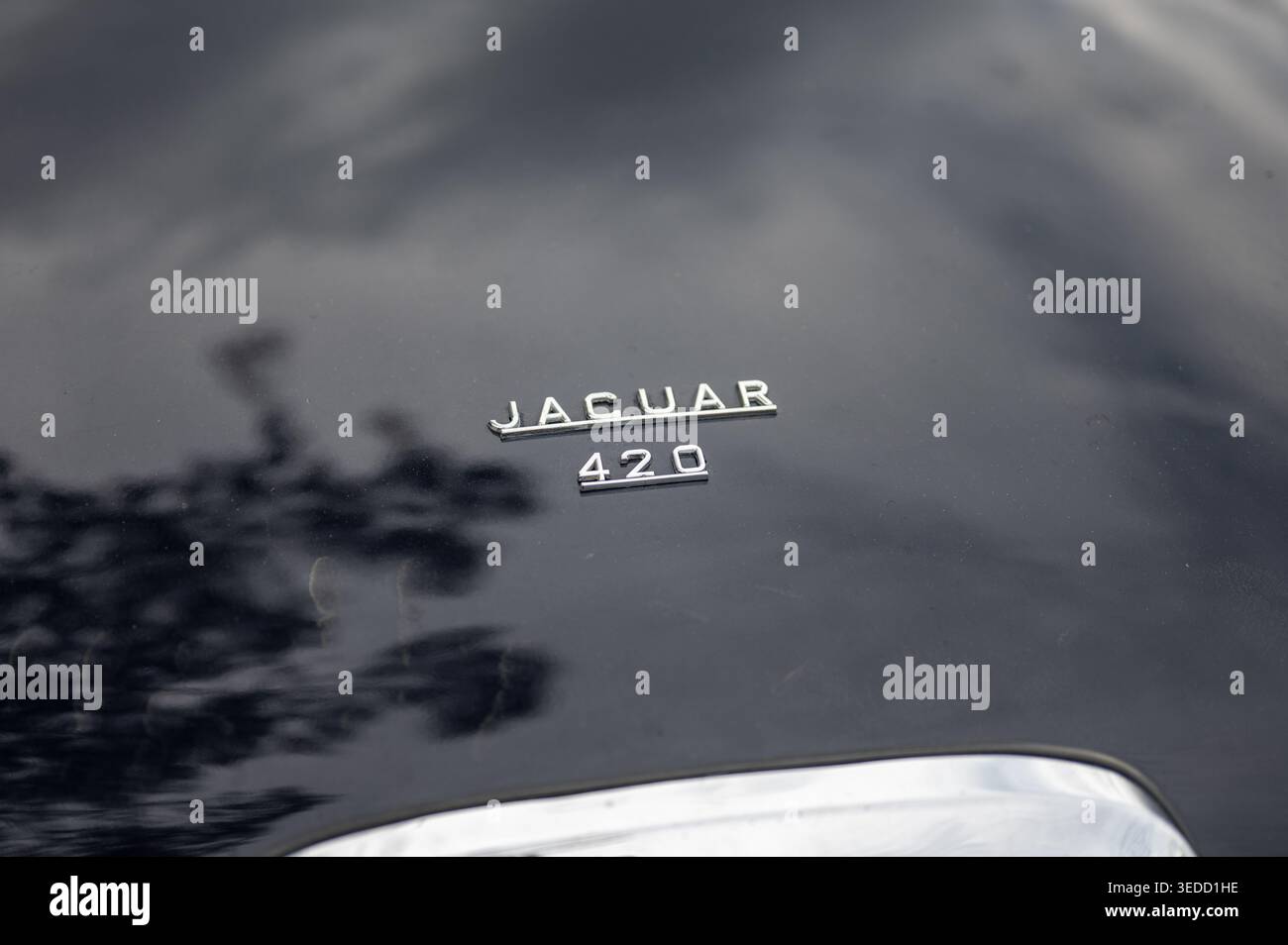 Nahaufnahme des verchromten Jaguar 420-Emblems auf dem Kofferraum einer klassischen schwarzen Luxuslimousine, das ein hochwertiges Vintage-Automobil-Branding zeigt Stockfoto