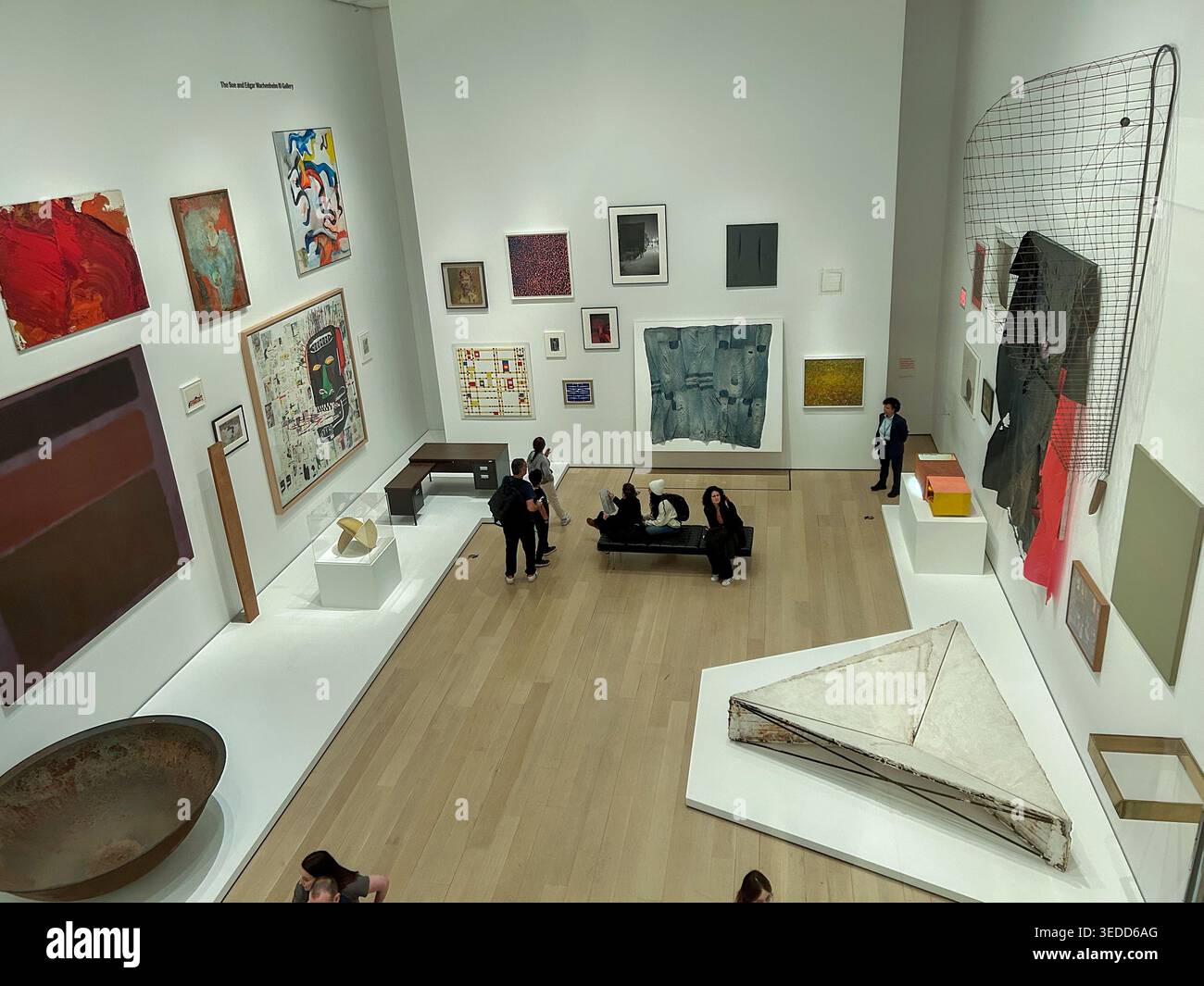 New York City, NY, USA, Hochwinkel, Weitwinkelansicht, Ausstellung, Kunstgalerie, MOMA, Museum für Moderne Kunst, Gruppenmenschen Stockfoto