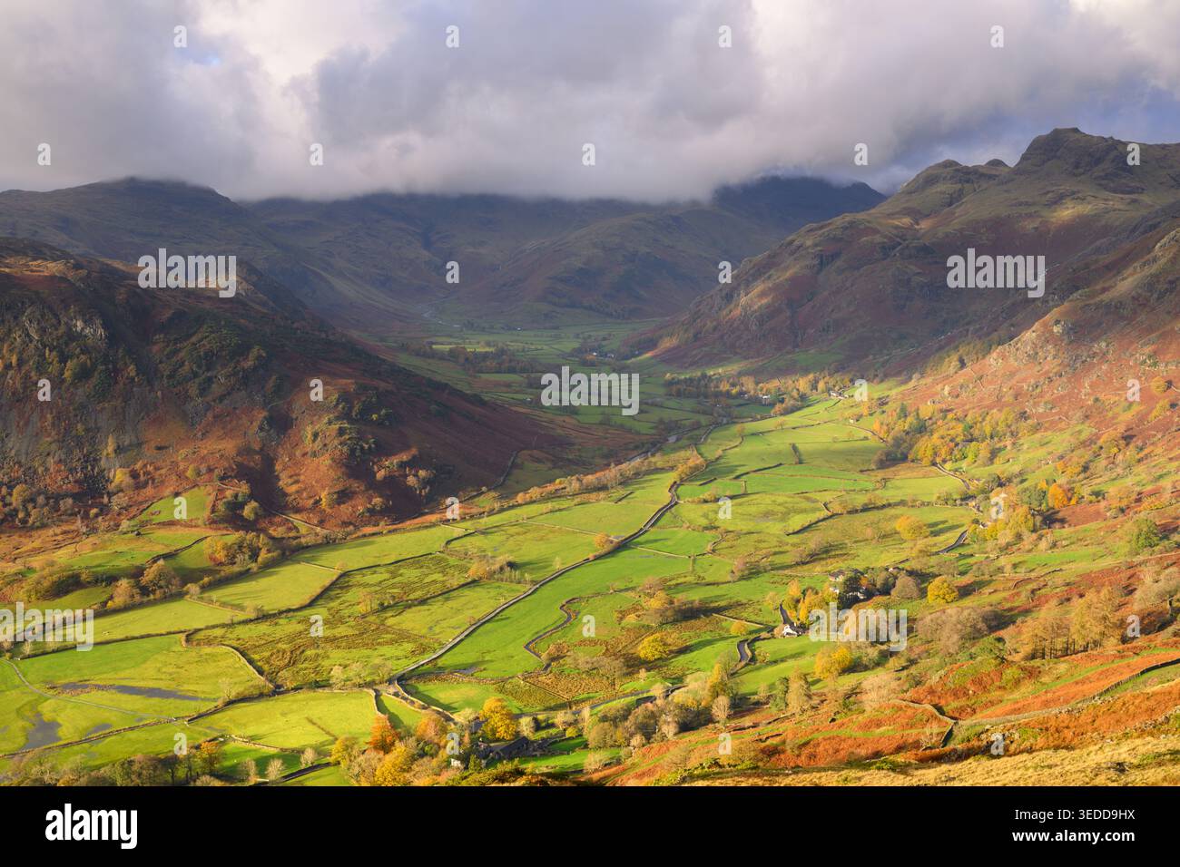 Grüne Felder im Great Langdale Valley am dramatischen Herbstmorgen aus Silver How im Lake District, Großbritannien. Stockfoto