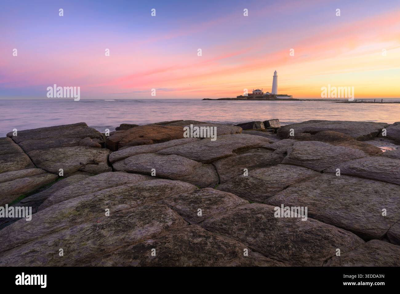 Rosa Sonnenaufgang am St. Mary's Lighthouse mit interessanten geformten Felsen an der Nordostküste von England, Großbritannien. Stockfoto