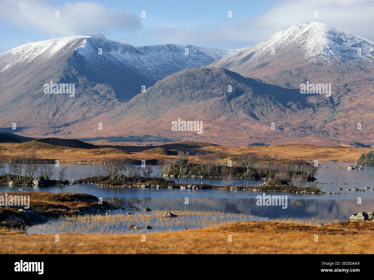 Rannoch Moor, Black Mount und Loch an Achlaise im Winter, Inverness-shire, Schottland, Januar Stockfoto