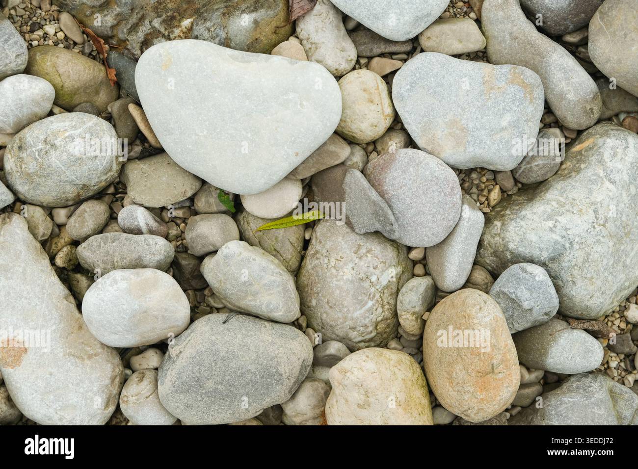 Natürlicher Flussstein Hintergrund und Textur. Stockfoto