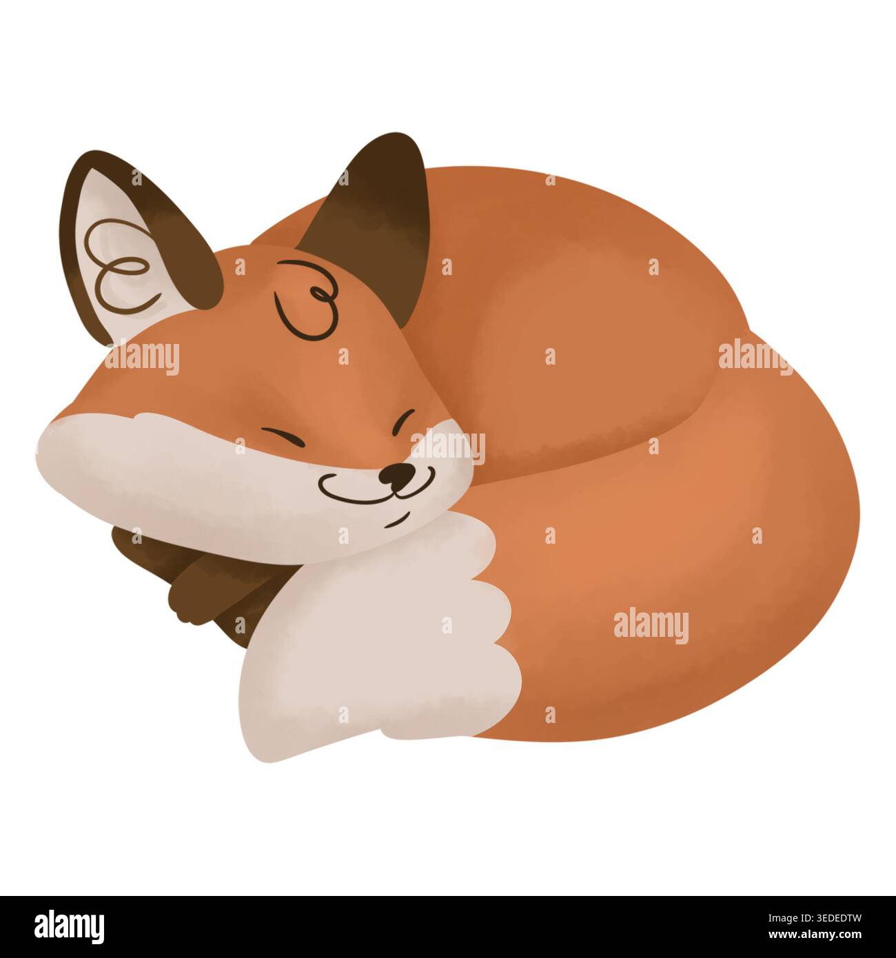 Niedlicher Fuchs, der sich zusammengerollt und schläft, zeigt Ruhe, Ruhe und Komfort der Haustiere. Isoliertes Konstruktionselement für Kinder Stockfoto