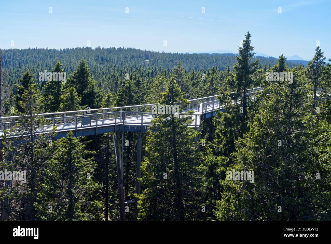 Ein moderner hölzerner Aussichtspfad hoch über einem üppigen Nadelwald. Malerischer Baumwipfelpfad für Touristen mit Panoramablick auf den Berg Stockfoto