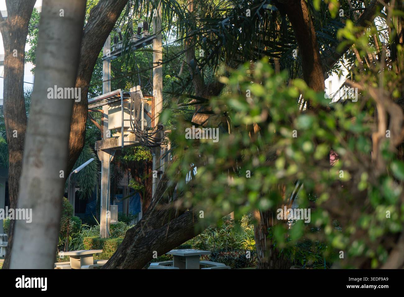 Eine friedliche urbane Parkszene mit üppigem Grün und Bäumen, die das Wesen der Natur in einer Stadt einfangen. Perfekt für Projekte mit Schwerpunkt auf Ruhe Stockfoto