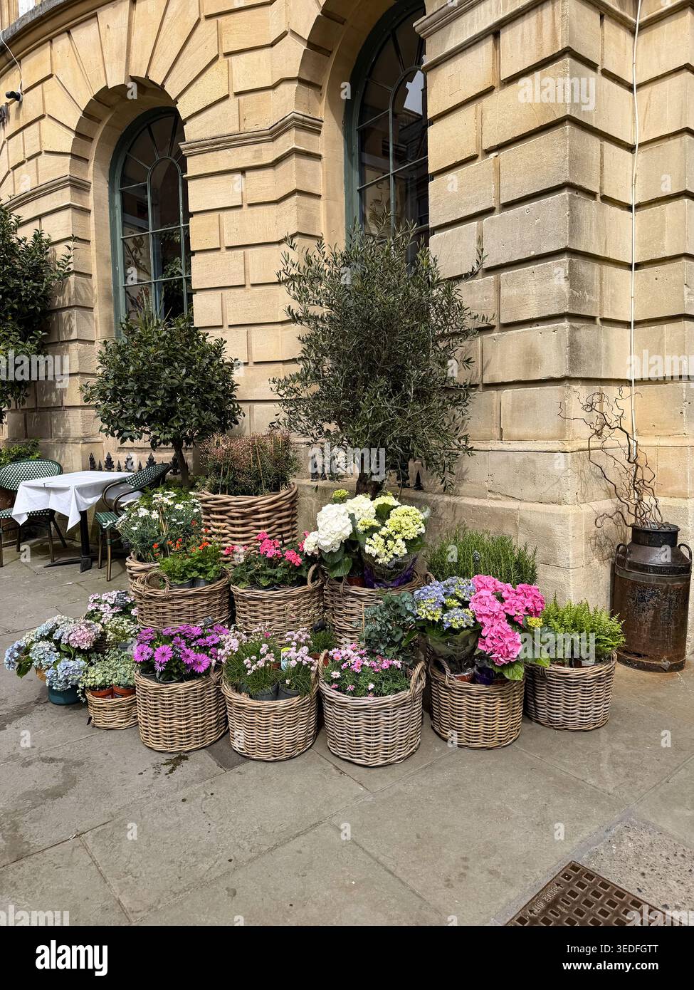 Topfpflanzen und blühende Sträucher in rustikalen Korbkörben, die vor einem klassischen Steingebäude in Bath UK ausgestellt werden - Smartphone-aufgenommenes Stockfoto