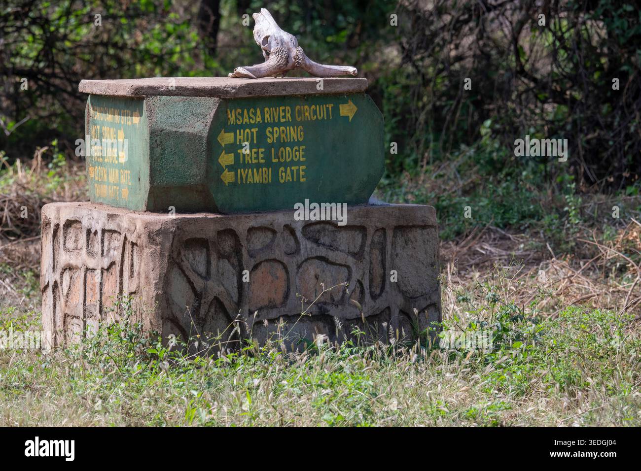 Eine Straßenmarkierung im Lake Manyara National Park, Tansania Stockfoto