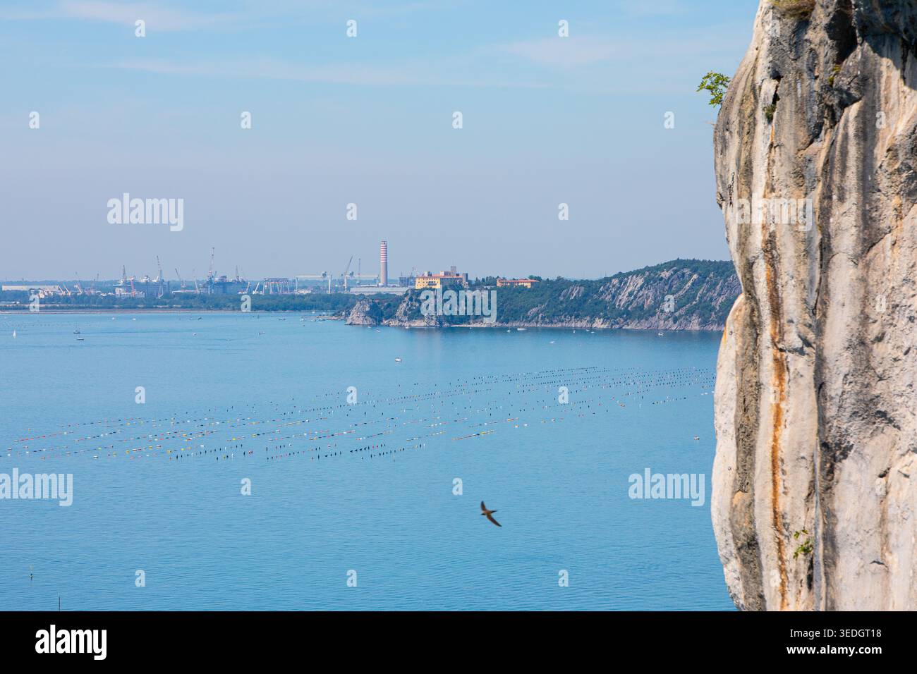 Die Burg Duino steht auf einer Klippe mit Muschelfarmen im Golf von triest Stockfoto