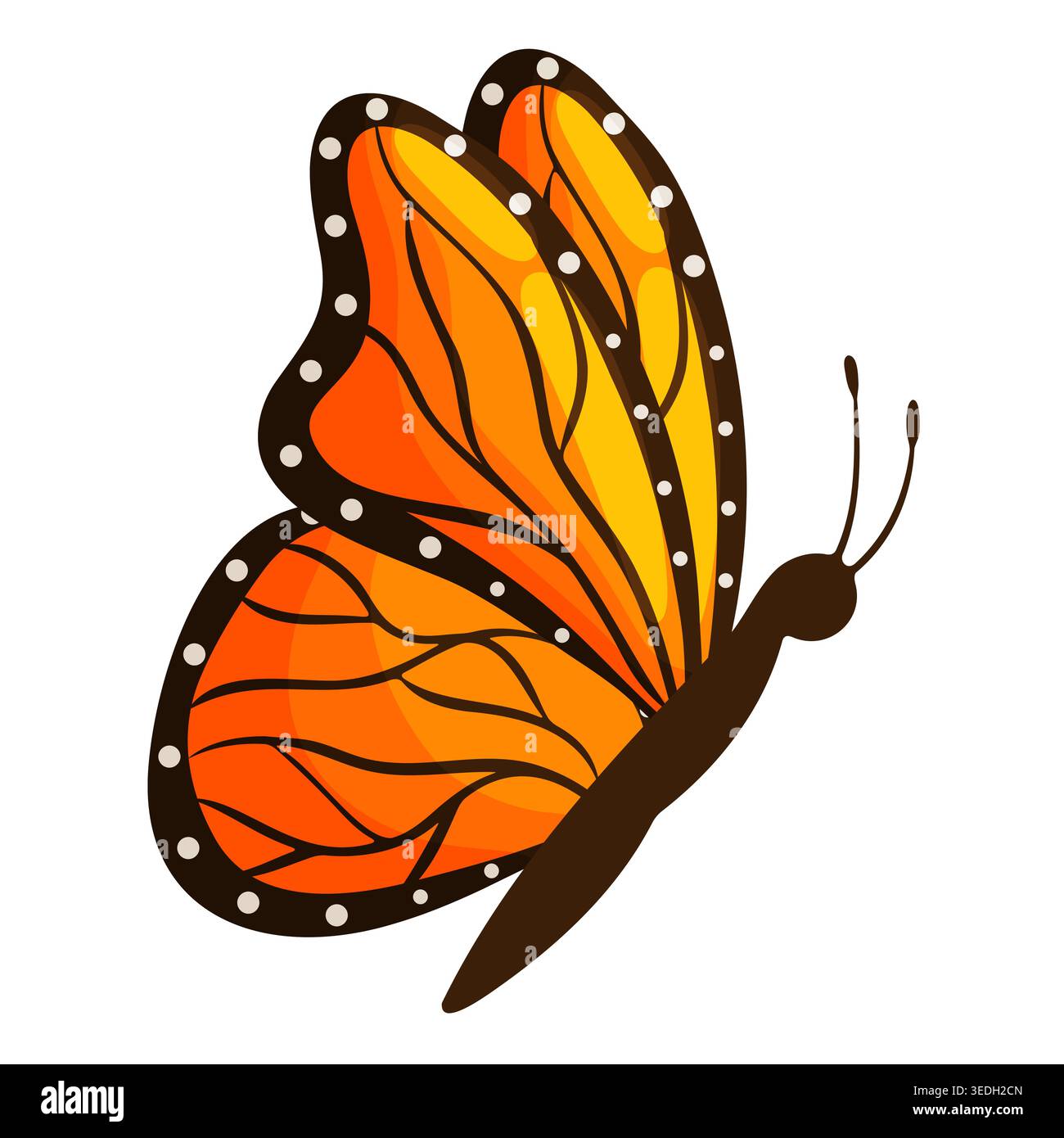 Bunte Illustration eines orange-gelben Monarchschmetterlings mit dunkelbraunen umrandeten Flügeln und weißen Punkten, Seitenansicht mit gefalteten Flügeln, isolieren Stock Vektor