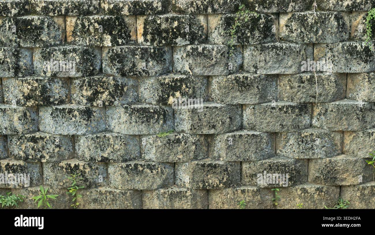 Alte Steinmauer bedeckt mit Moos und Flechten Stockfoto