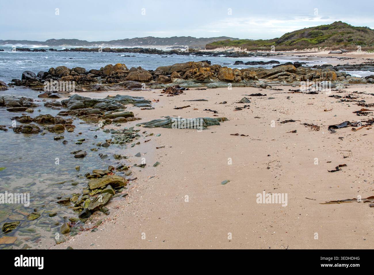 Strand im Sundown Point State Reserve im Nordwesten Tasmaniens Stockfoto