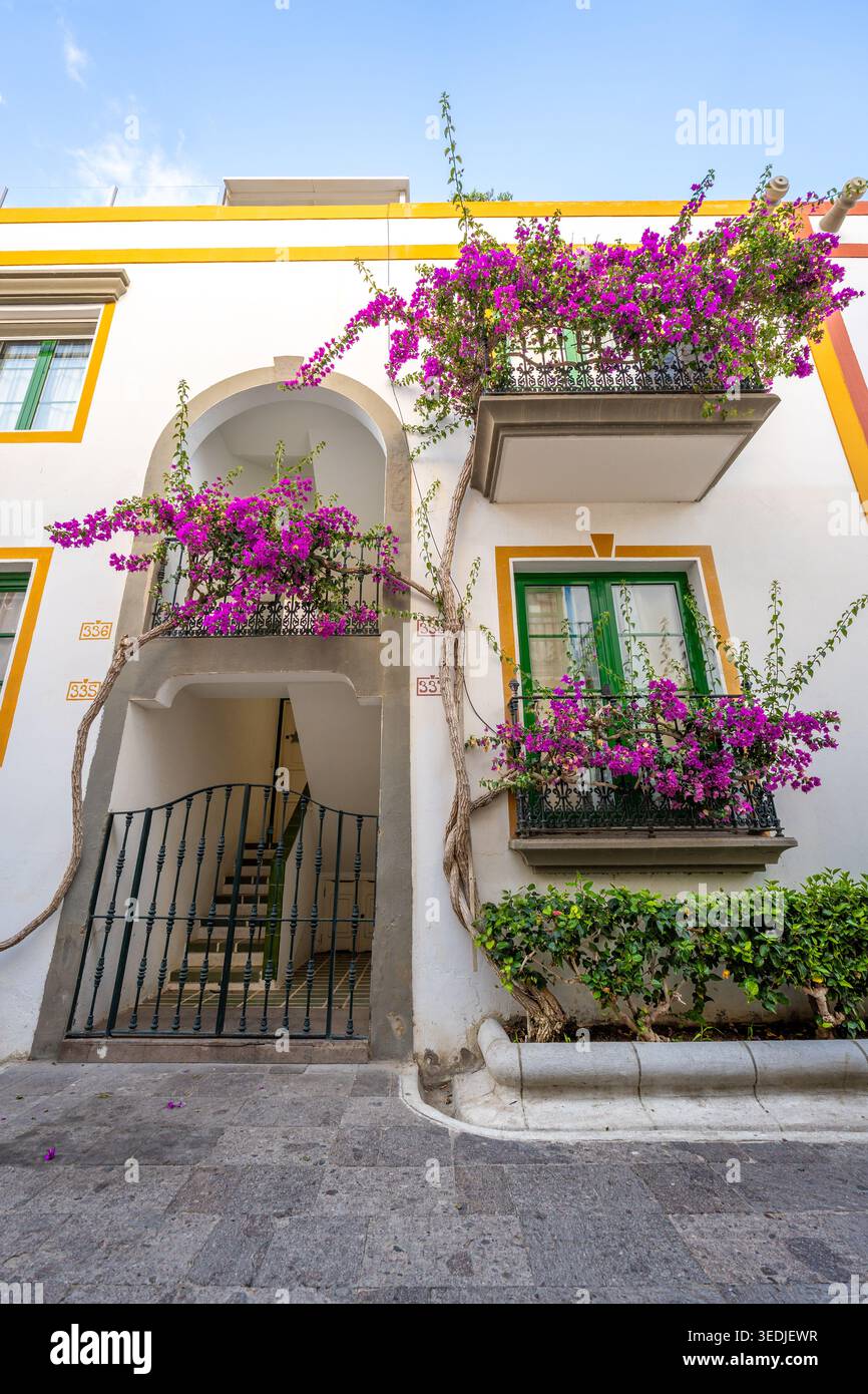 Typische Fassade des Weißen Hauses mit rosafarbenen Bougainvillea-Blumen in Puerto de Mogan Gran Canaria Spanien Stockfoto