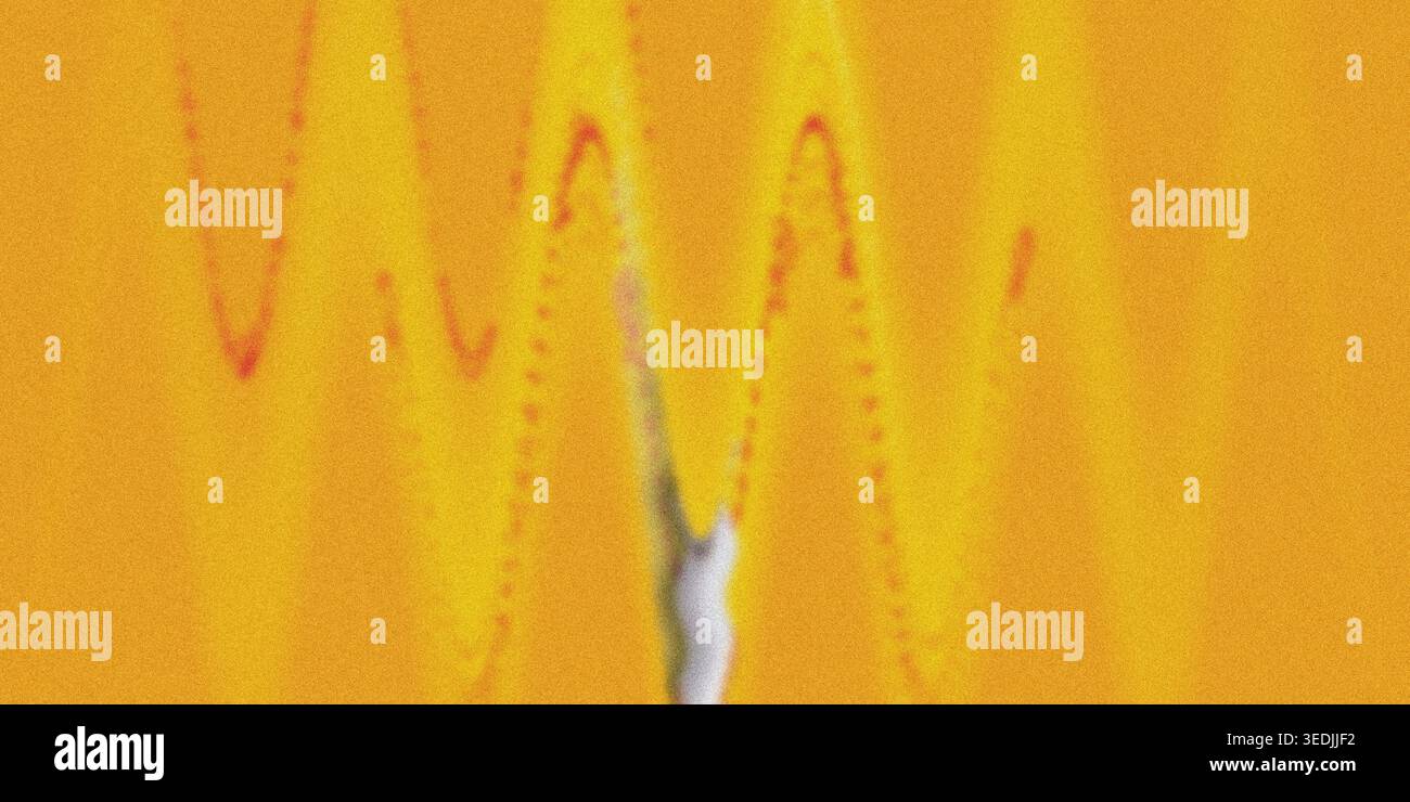 Ein warmer, abstrakter Hintergrund mit einem glatten orange-gelben Farbverlauf, mit vertikalen Wellenlinien und einem dezenten vertikalen Unschärfeeffekt in der Mitte. Stockfoto