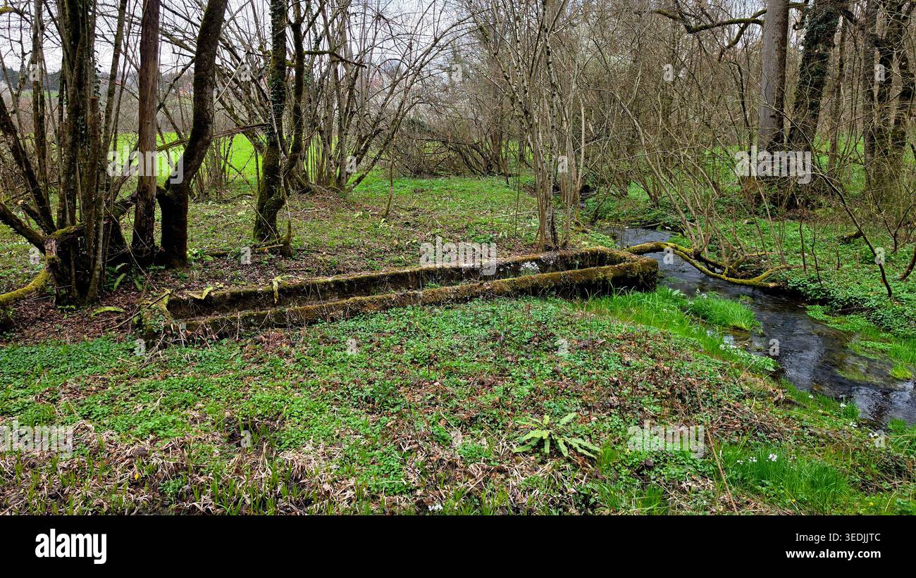 Ein langes verwittertes Steinwasserbecken liegt auf einer üppig grünen Wiese neben einem klaren Bach. Blattlose Bäume und frischer Frühlingsboden umgeben die rustikale Landschaft Stockfoto