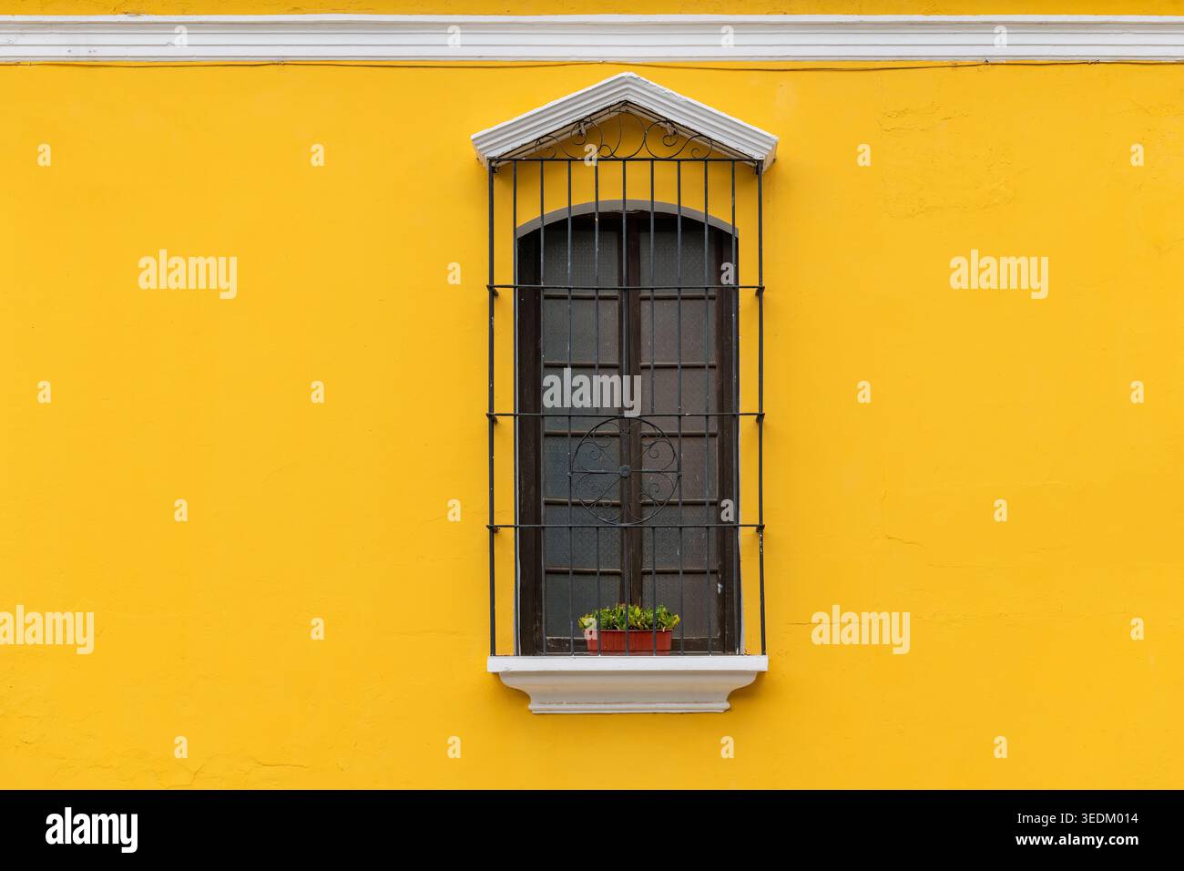 Gelbe Fassade mit Fenster im Kolonialstil, Antigua, Guatemala. Stockfoto