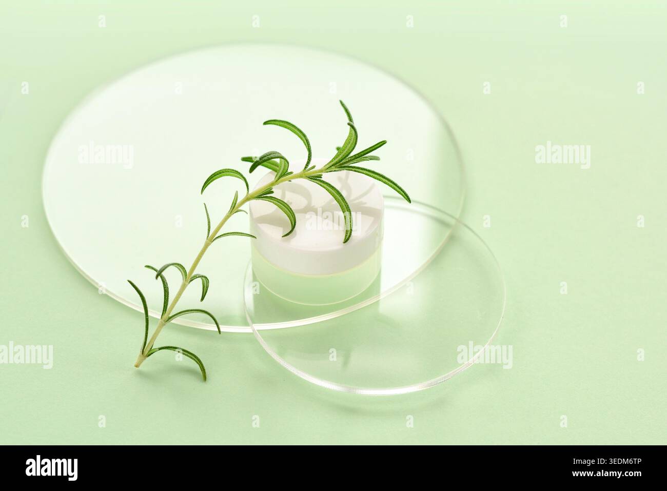 Pastellgrüner Hintergrund mit transparenten Glasscheiben, Cremebecher und Rosmarinzweig. Naturkosmetik-Konzept Stockfoto