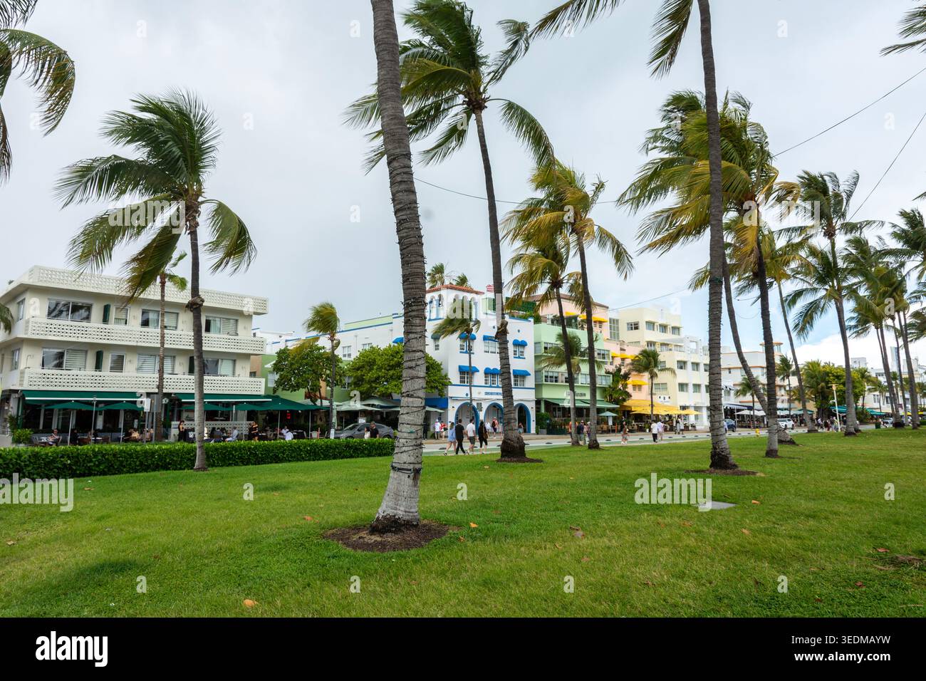 Art déco-Architektur und Palmen am Ocean Drive in Miami Beach. Stockfoto
