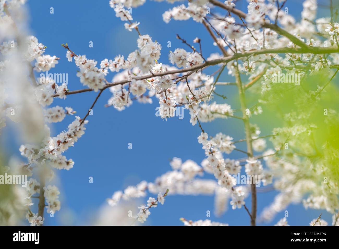 Die offene Komposition mit verstreuten Sternhaufen und leuchtenden Highlights weckt Freiheit und frische Luft für Reisen und draußen Stockfoto