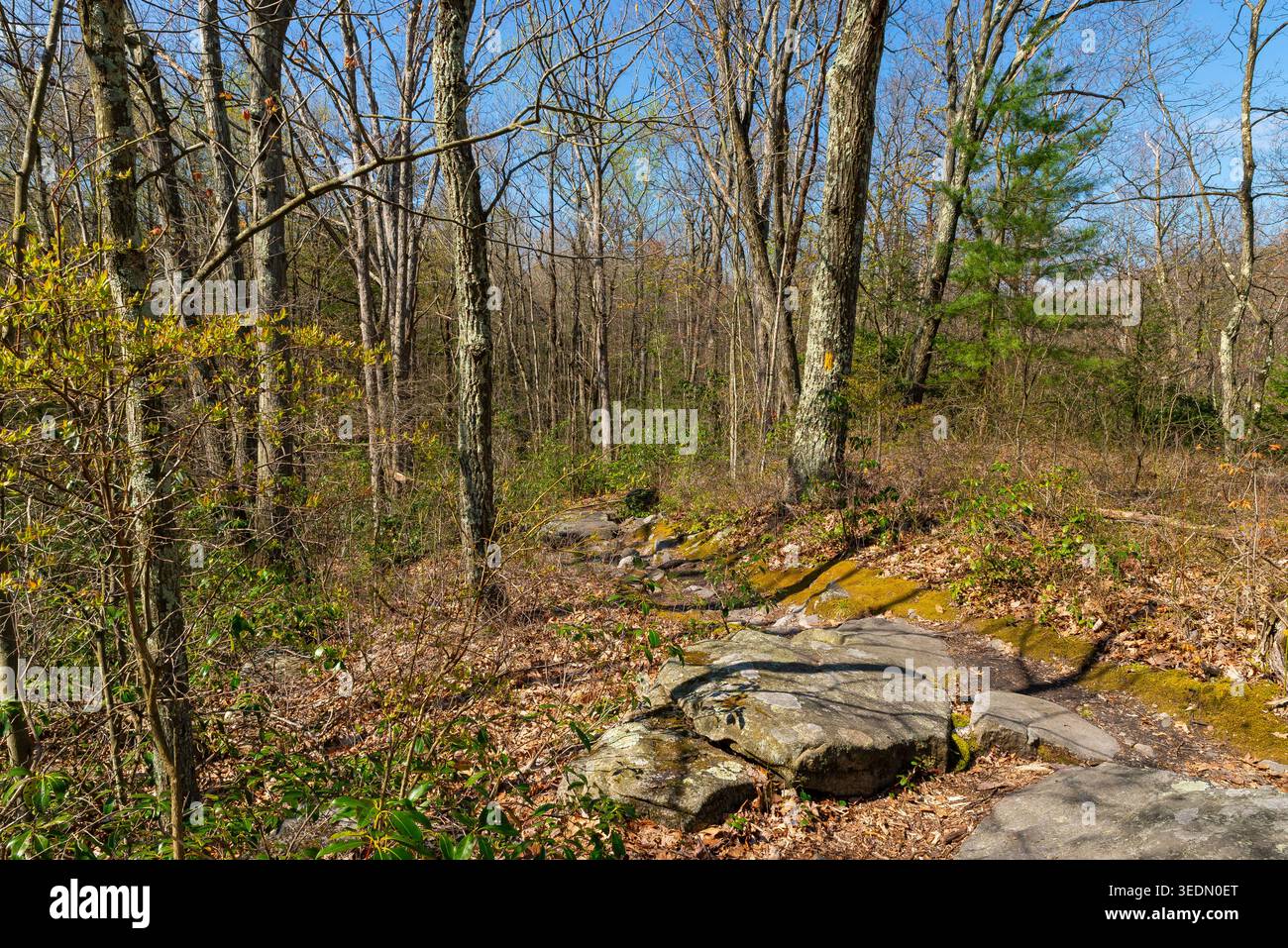 Wanderweg und Landschaft an einem schönen Frühlingsmorgen im Seven Tubs Recreation Area in Wilkes-Barre, Pennsylvania, USA. Stockfoto