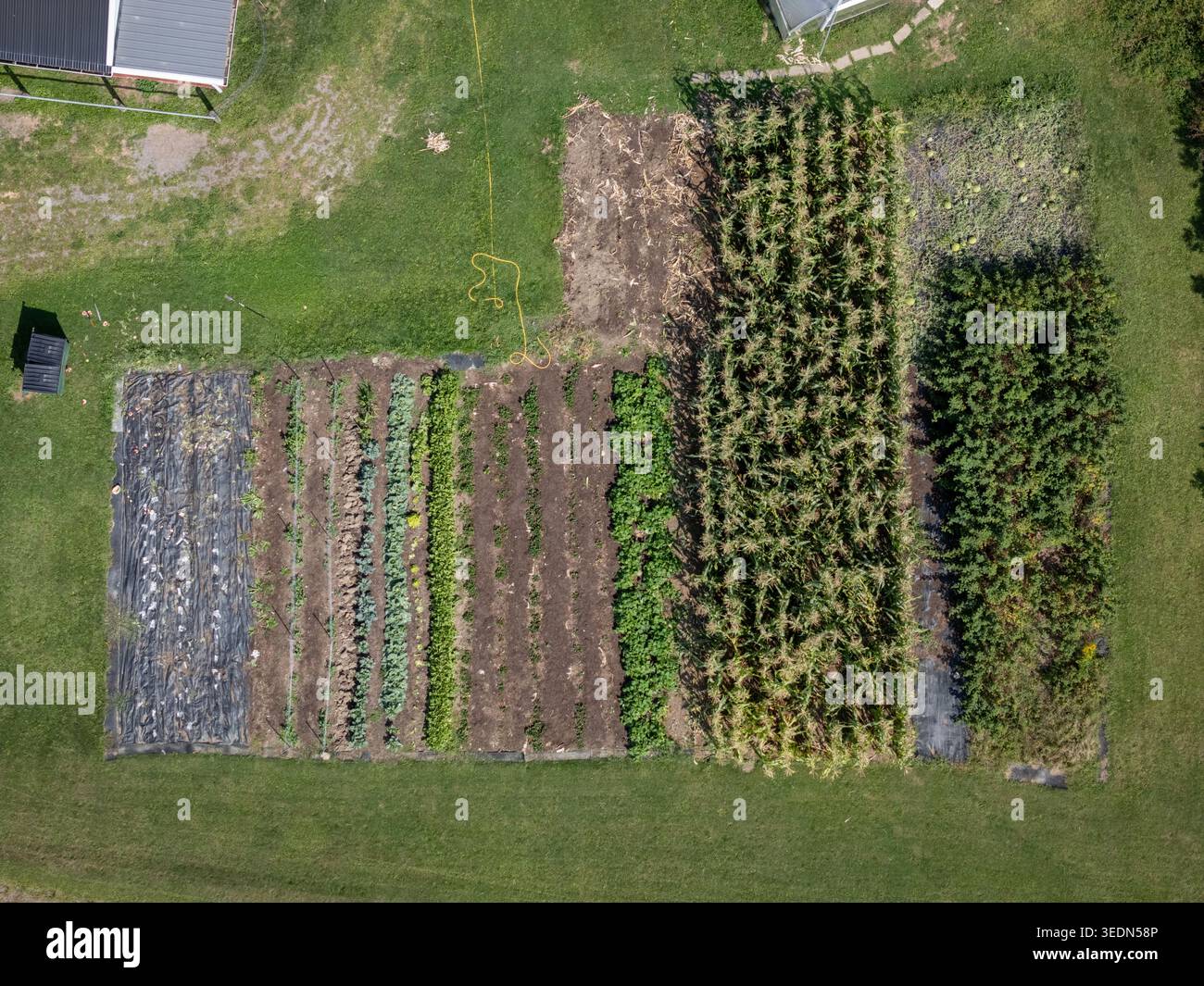 Drohnenblick auf einen Familiengarten, Herkimer County, Bundesstaat New York, USA. Stockfoto