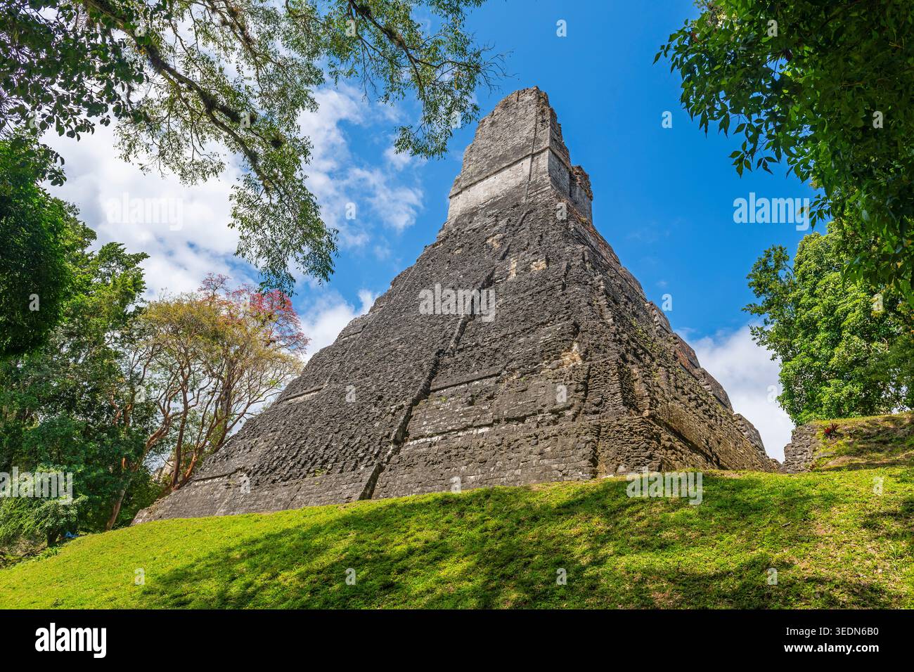 Tempel der Grand Jaguar Pyramide, Tikal, Guatemala. Stockfoto
