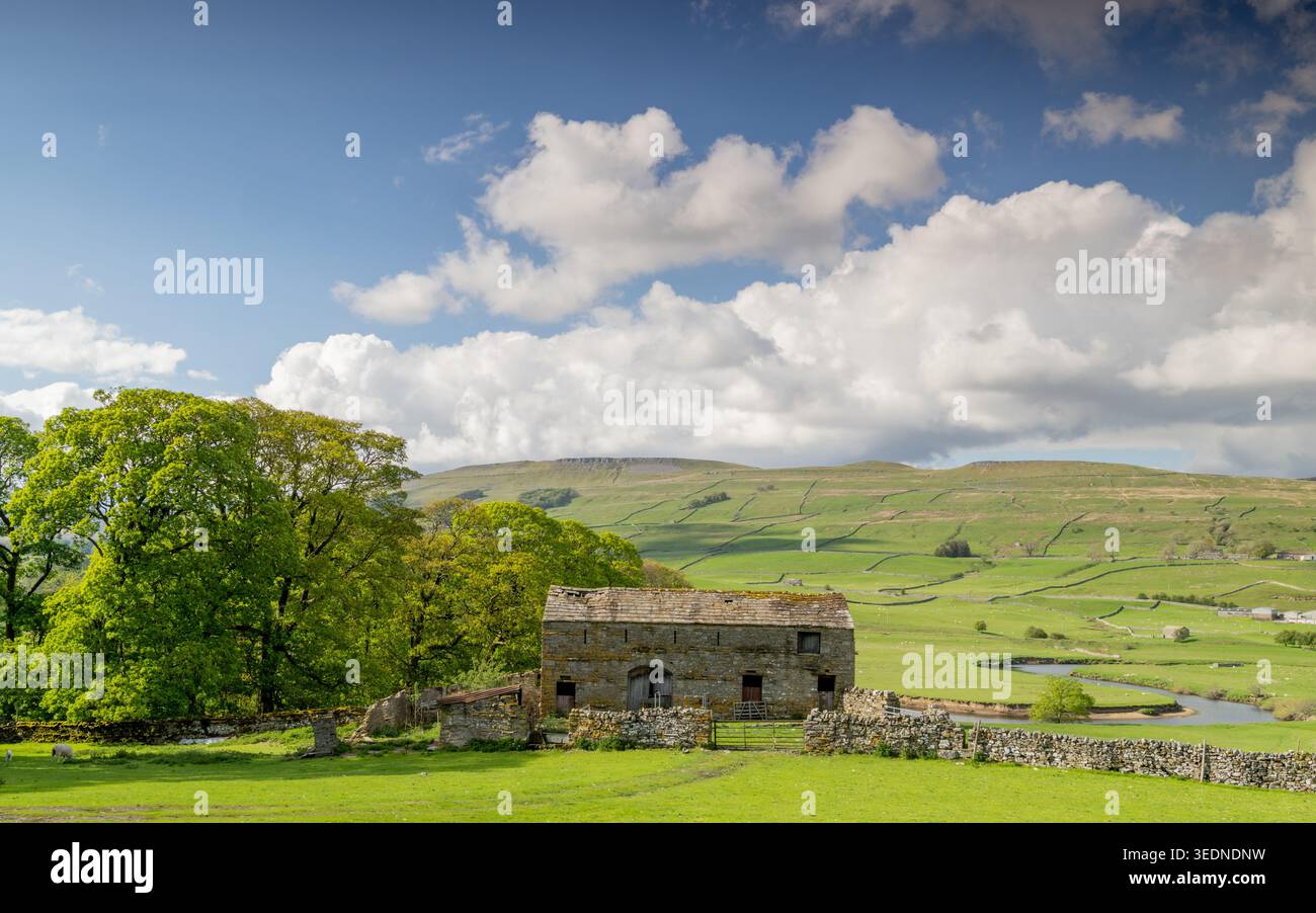 Wensleydale, Yorkshire Dales Nationalpark, England. Trockene Steinscheunen und üppige Landschaft unter klarem blauem Himmel an einem friedlichen Sommertag. Stockfoto