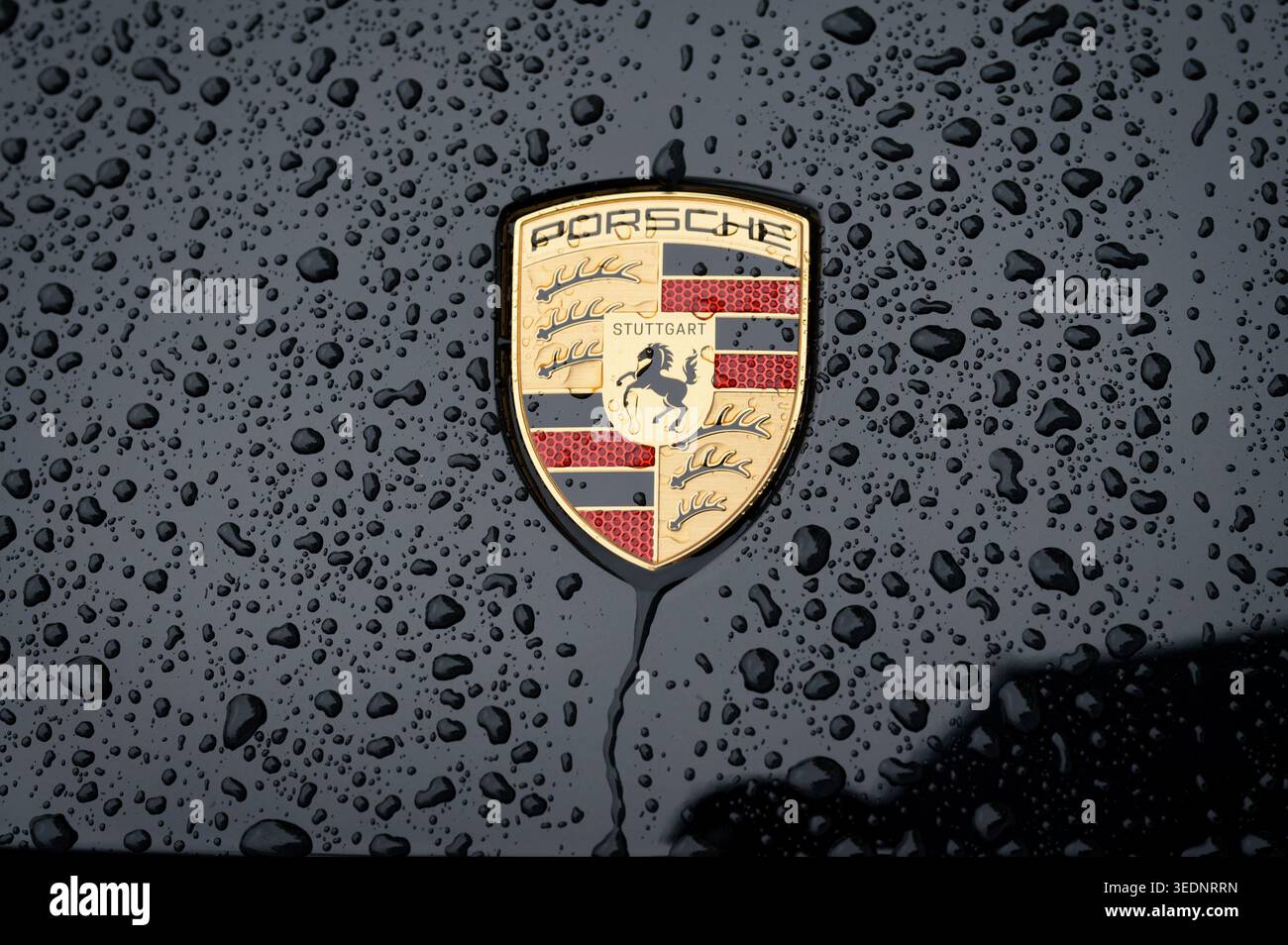 Köln, Deutschland 06. Mai 2026: Ikonisches Porsche-Emblem auf einer nassen schwarzen Motorhaube mit Wasserperlen. Detaillierte Makroaufnahme der Luxusmarke im Automobil Stockfoto