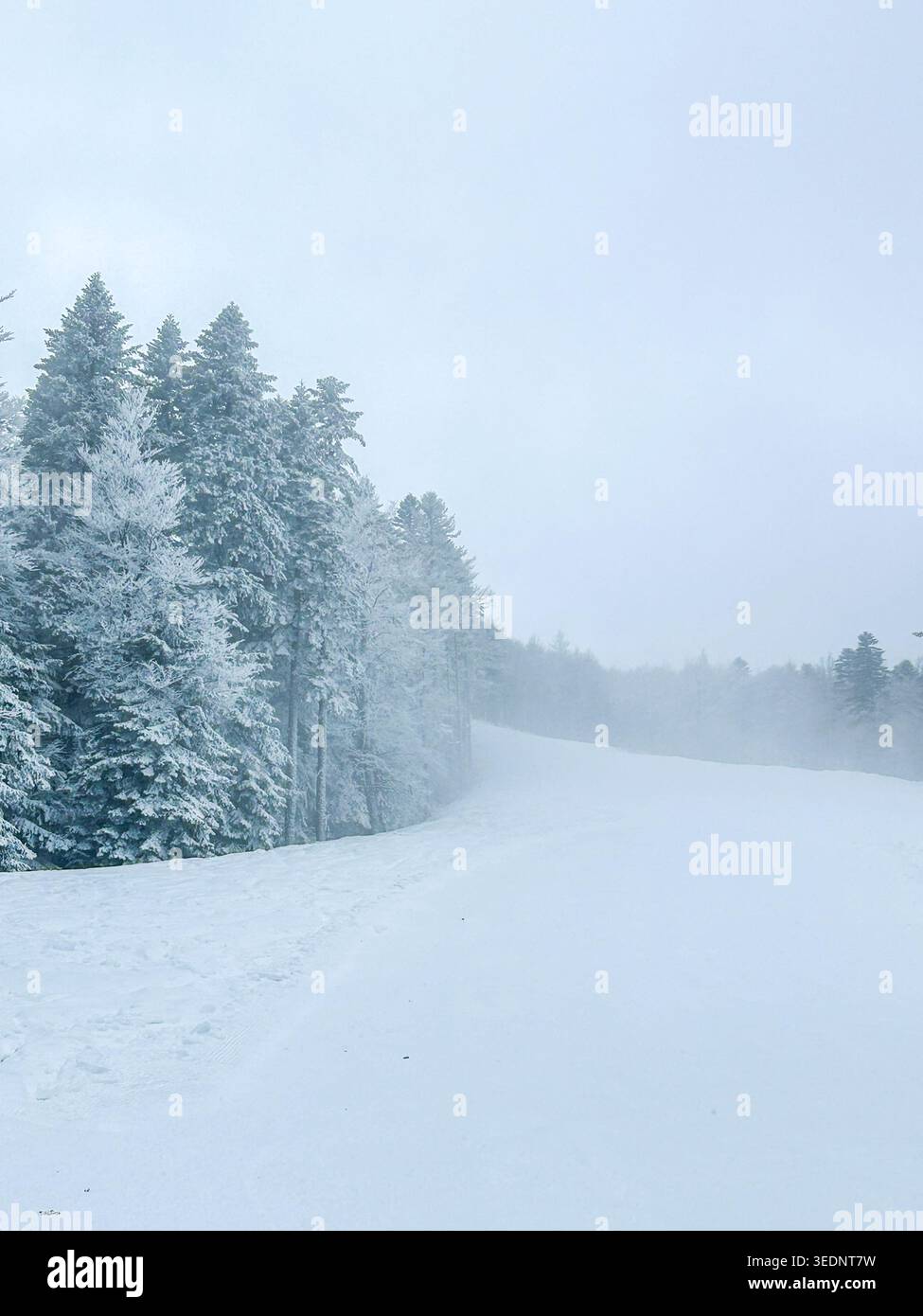 Schneebedeckte Wälder und nebelige Winterlandschaft auf dem Berg Bjelasnica bei Sarajevo, Bosnien und Herzegowina. - Smartphone-aufgenommenes Stockfoto