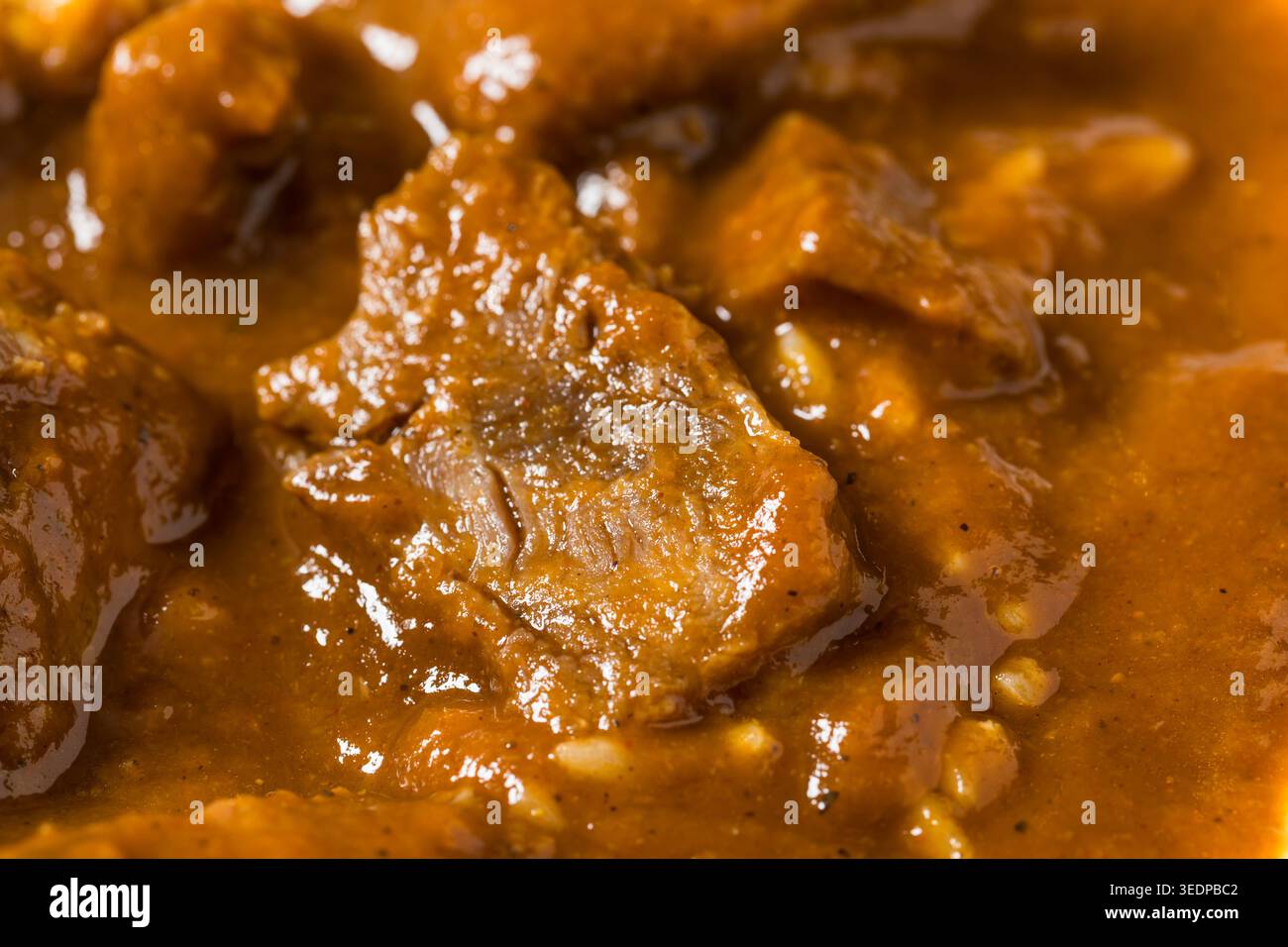Hausgemachtes indisches Lamm Vindaloo mit Reis und Koriander Stockfoto