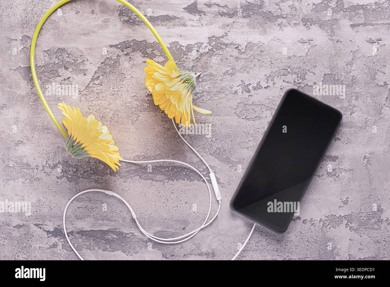 Künstlerische Komposition mit Mobiltelefon-Mockup und blumenförmigen Kopfhörern auf rauem Betonhintergrund. Optischer Kontrast zwischen organischer Natur Stockfoto